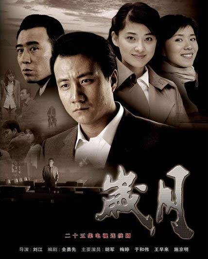 岁月（2007年胡军、梅婷主演都市情感电视剧）