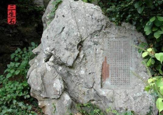 三生石(泥质石灰岩)