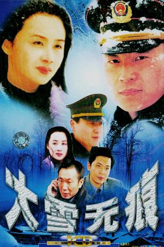 大雪无痕（2000年康宁执导电视剧）
