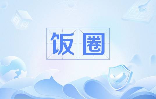 饭圈(网络用语)
