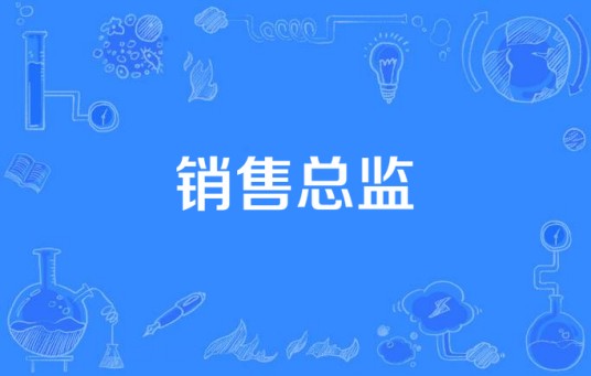 销售总监