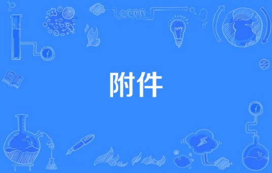 附件(女性生殖器官)