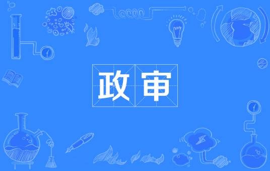 政审