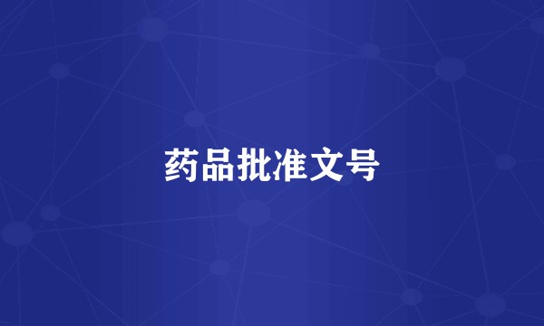 药品批准文号