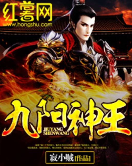 九阳神王（寂小贼创作的东方玄幻类网络小说）