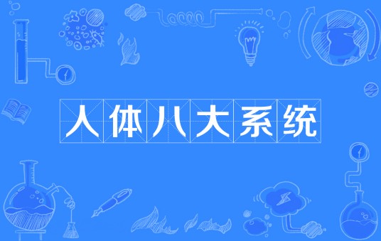 人体八大系统