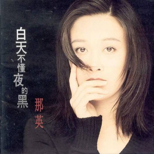 白天不懂夜的黑（那英演唱的歌曲）