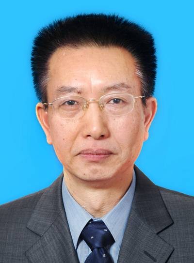 陈晓明（中央文史研究馆馆员，北京大学中文系教授）