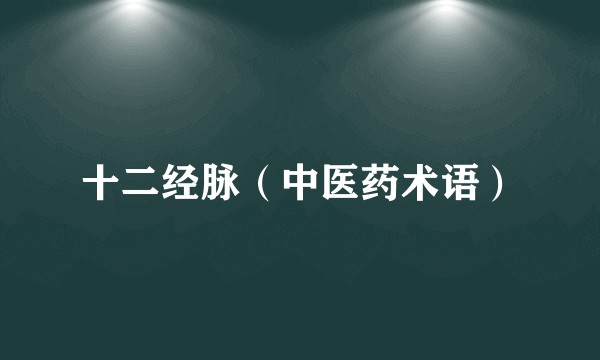 十二经脉（中医药术语）