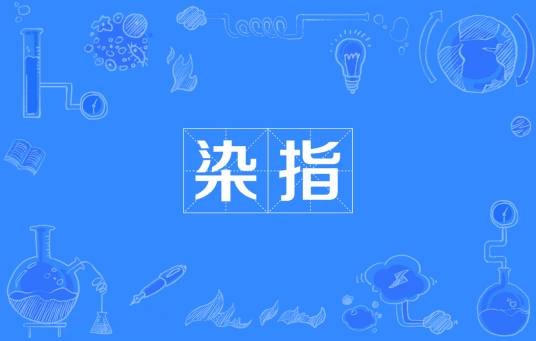 染指（汉语词语）
