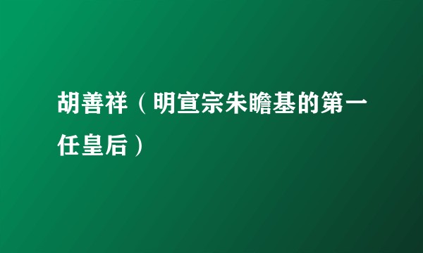 胡善祥（明宣宗朱瞻基的第一任皇后）