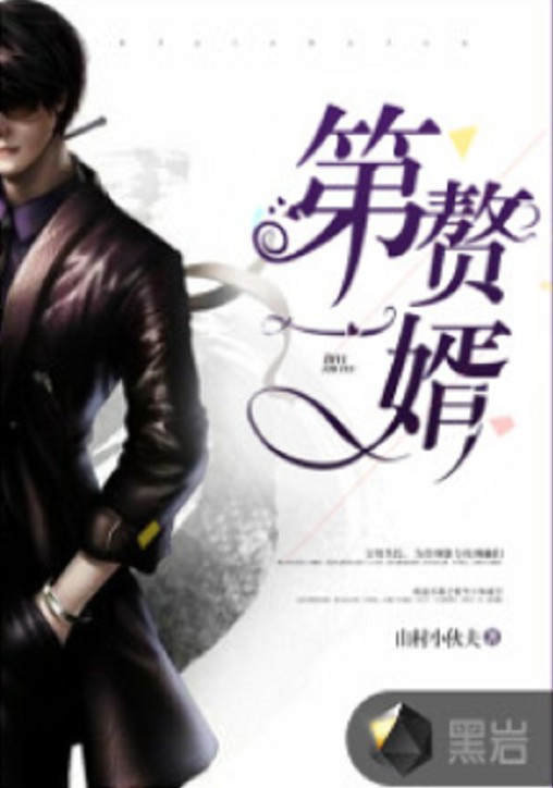 第一赘婿（山村小伙夫创作的现代类网络小说）