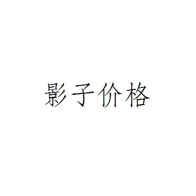 影子价格