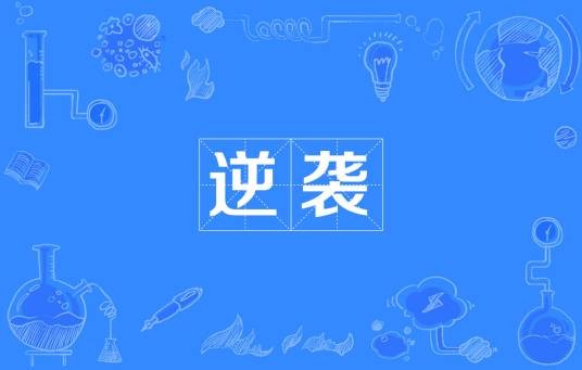 逆袭(日语词汇)