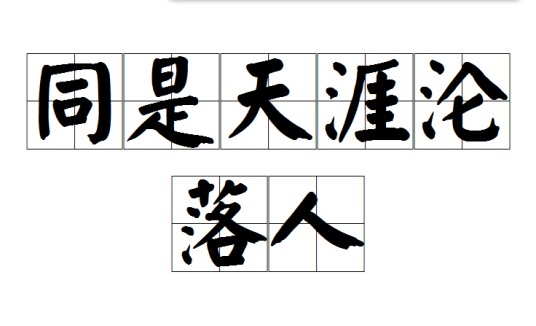 同是天涯沦落人（成语）