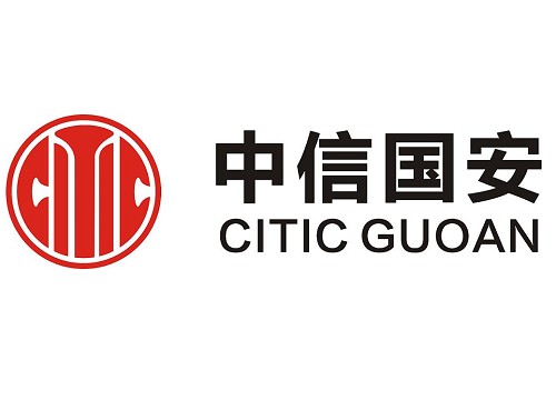 中信国安集团有限公司