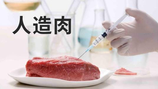 人造肉(人造食品)
