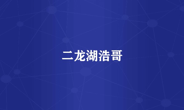 二龙湖浩哥