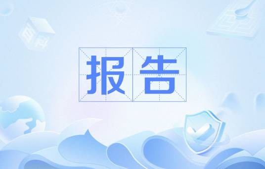 报告（公文格式）