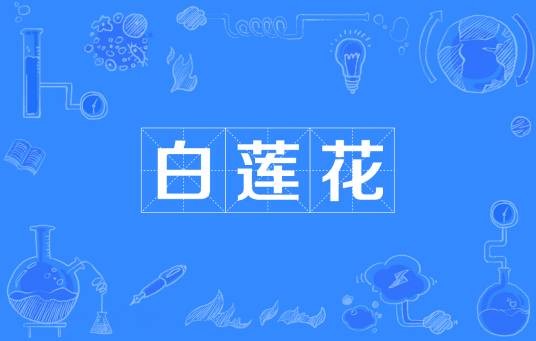 白莲花（网络流行词）