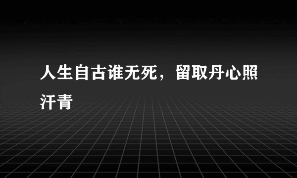 人生自古谁无死，留取丹心照汗青