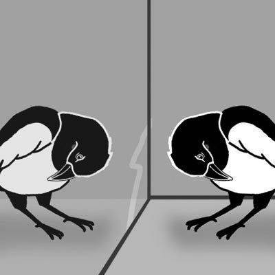 自我(心理学词语)