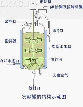 生物反应器