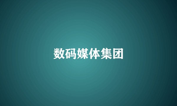 数码媒体集团
