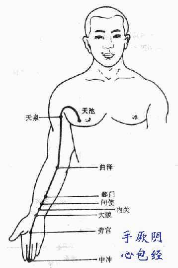 手厥阴心包经