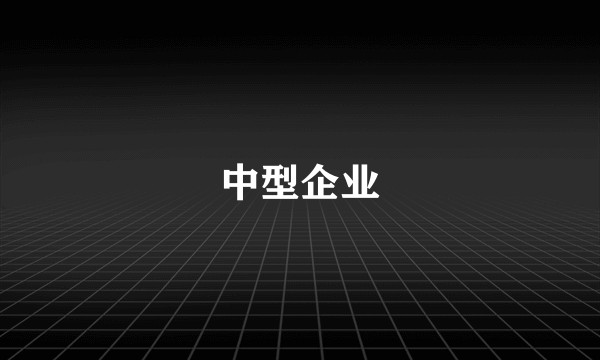 中型企业