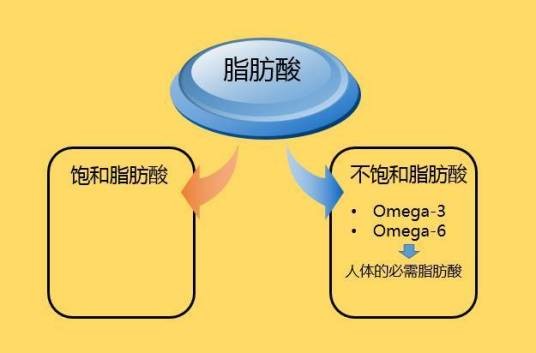 饱和脂肪酸