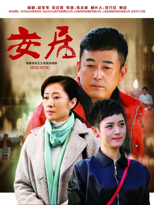 安居(2015年张永新执导的电视剧)