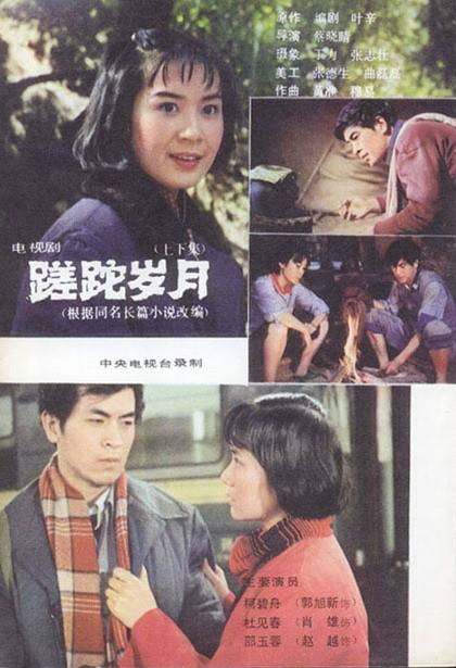 蹉跎岁月(1982年蔡晓晴执导电视连续剧)