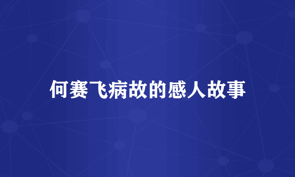 何赛飞病故的感人故事