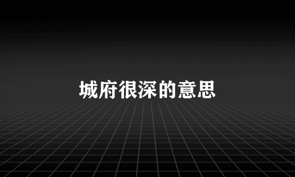 城府很深的意思