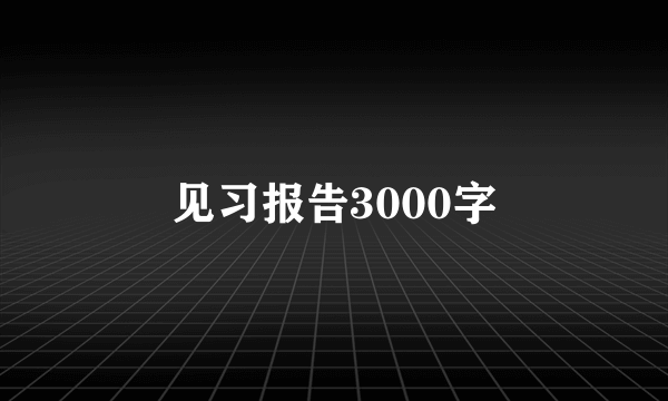 见习报告3000字