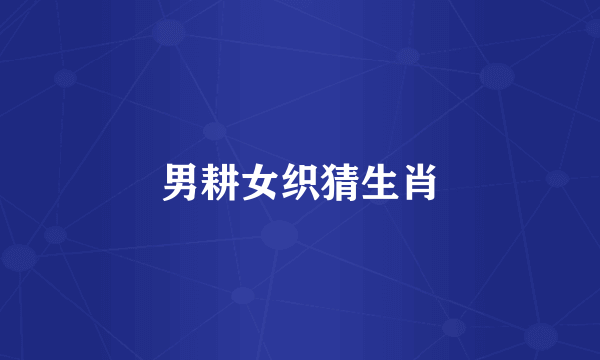 男耕女织猜生肖