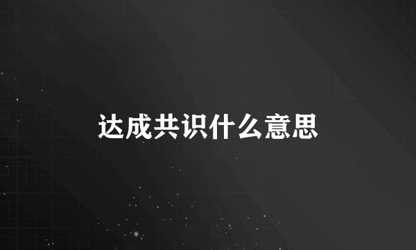 达成共识什么意思