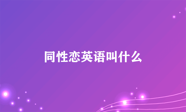 同性恋英语叫什么