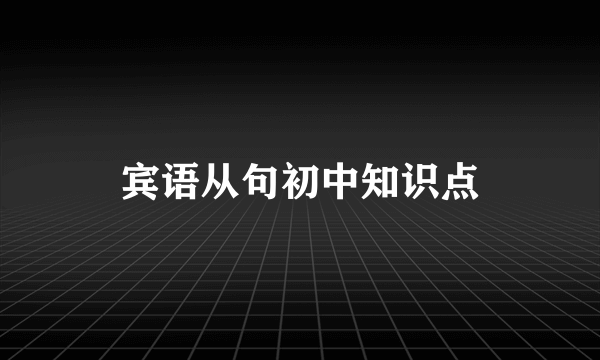 宾语从句初中知识点