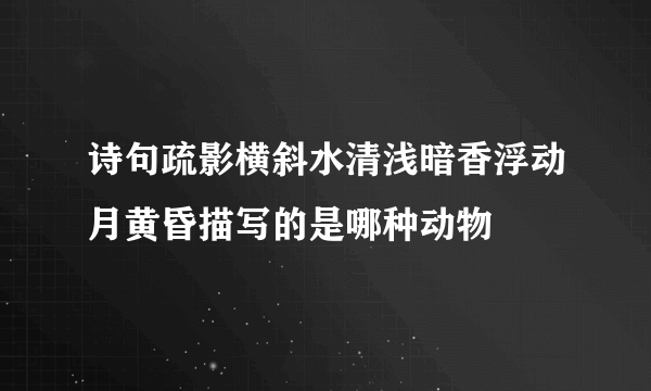诗句疏影横斜水清浅暗香浮动月黄昏描写的是哪种动物