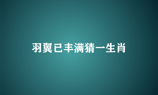 羽翼已丰满猜一生肖