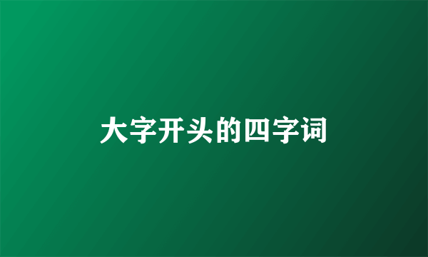 大字开头的四字词