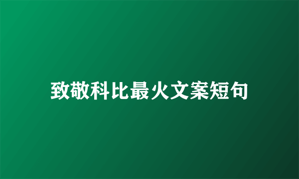 致敬科比最火文案短句