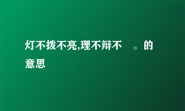 灯不拨不亮,理不辩不眀。的意思