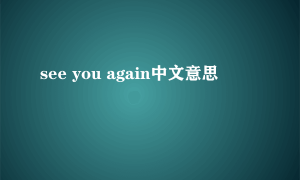 see you again中文意思