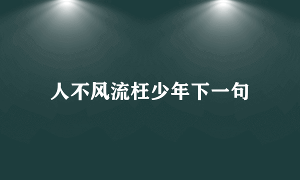 人不风流枉少年下一句