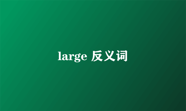 large 反义词