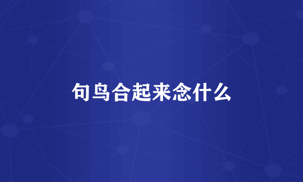 句鸟合起来念什么