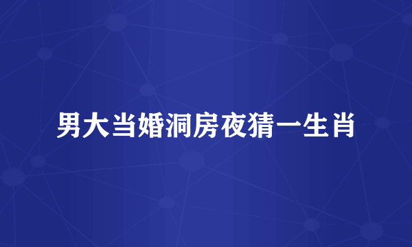 男大当婚洞房夜猜一生肖